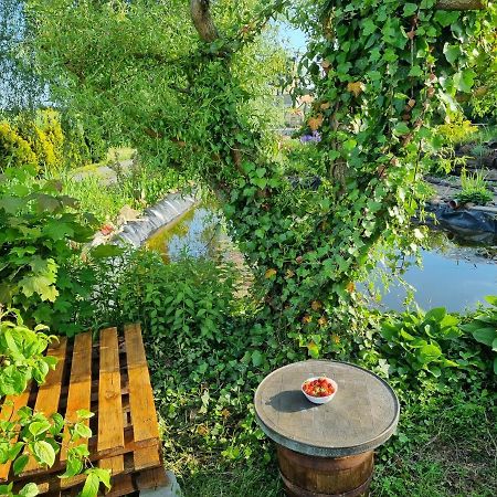 Apartament U Beti Opole Esterno foto