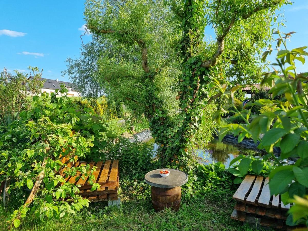 Apartament U Beti Opole Esterno foto